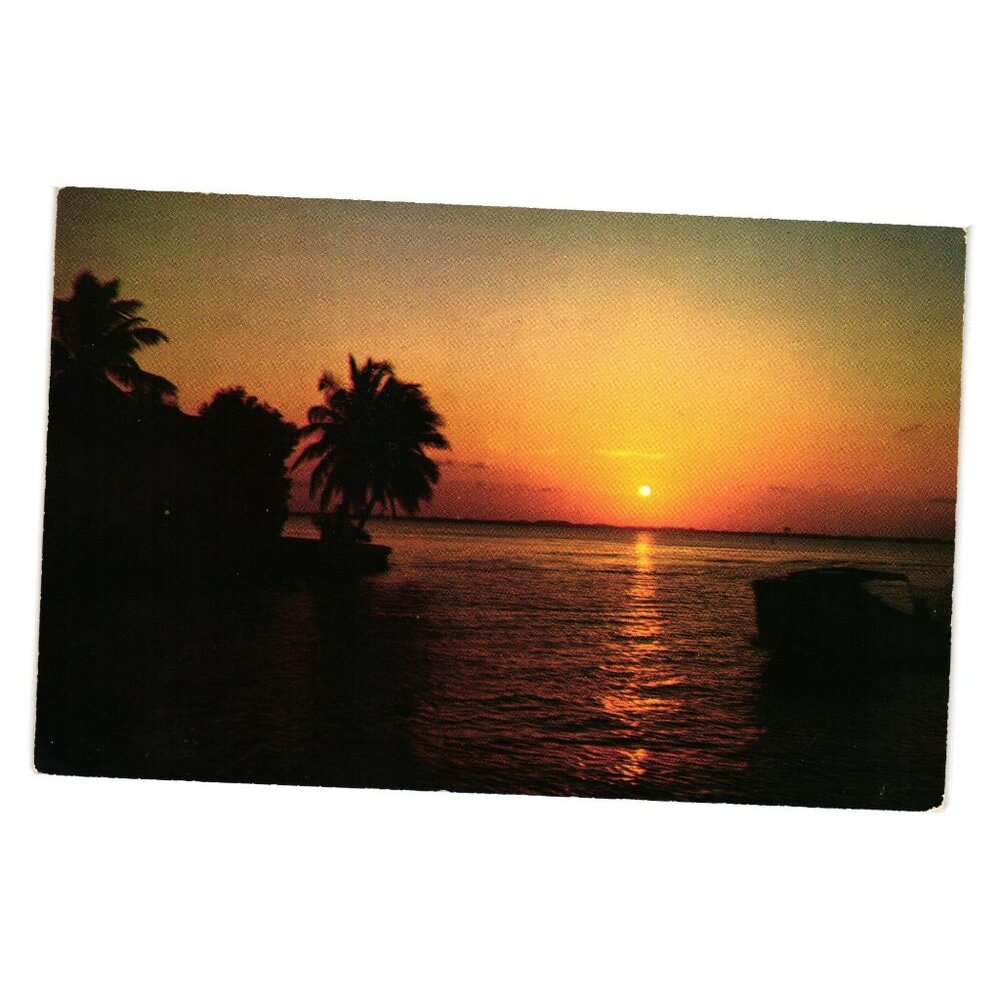 Florida Sunset Postcard H W Hannau Photography Color Miami Beach FL Vintage